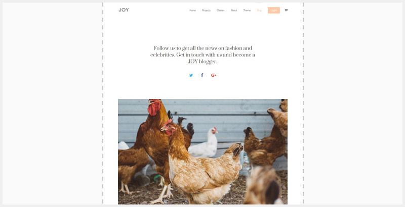 Features Page Appearance 04